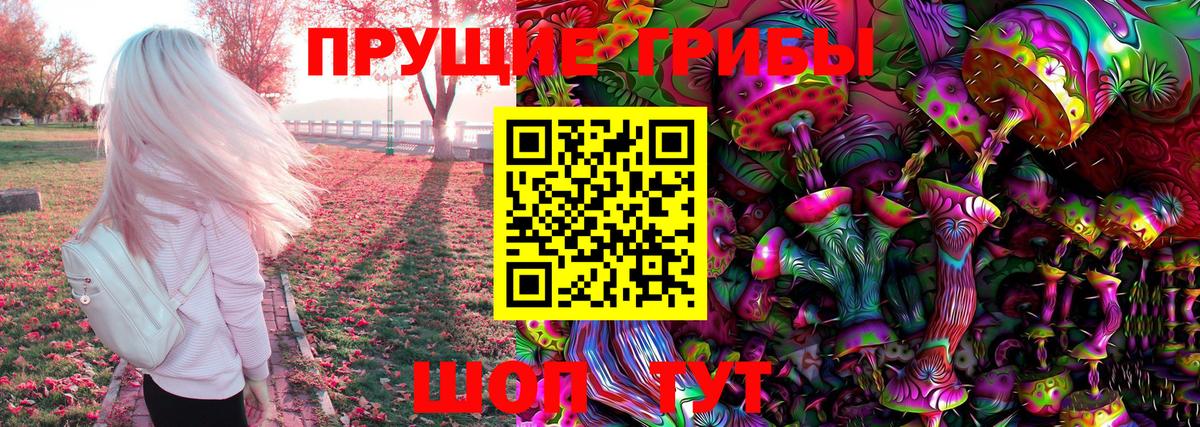 Псилоцибиновые грибы Psilocybe Семёнов
